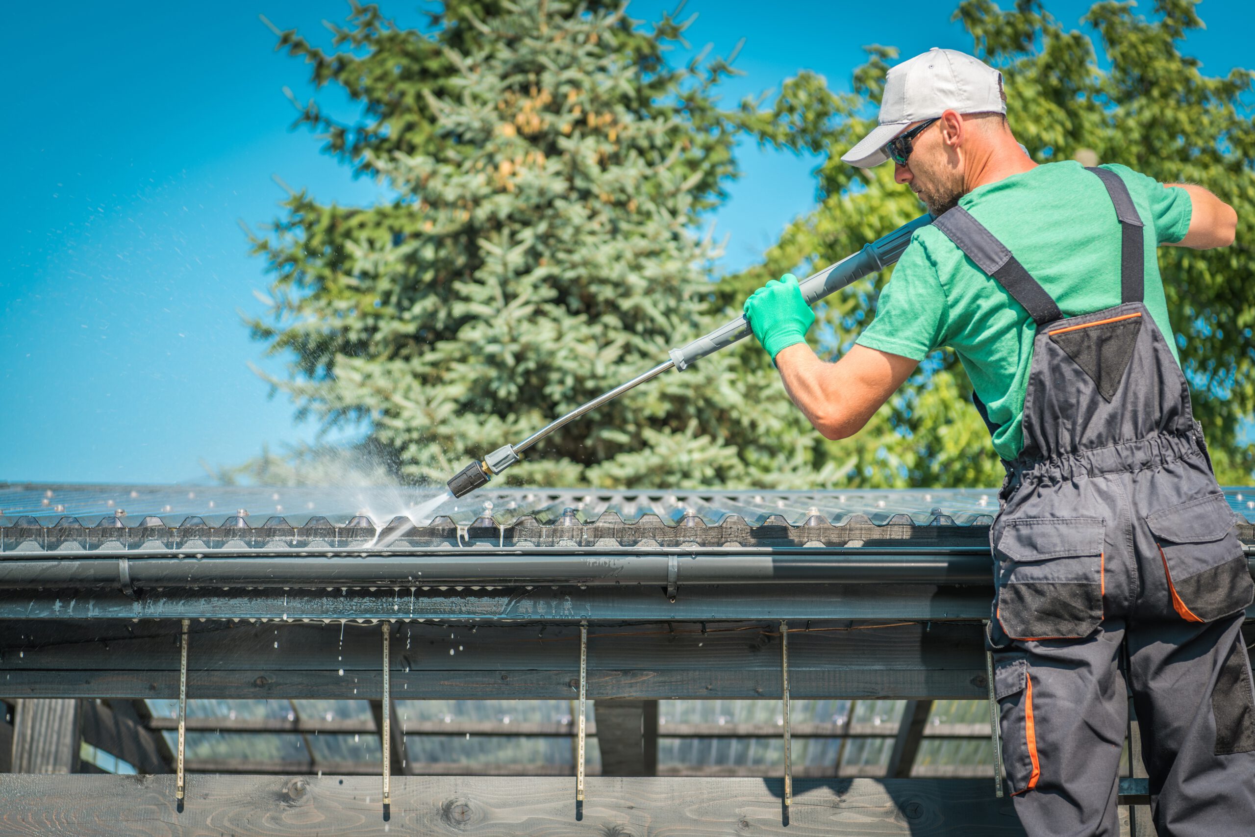 roof and gutters cleaning 2025 03 16 20 31 14 utc scaled